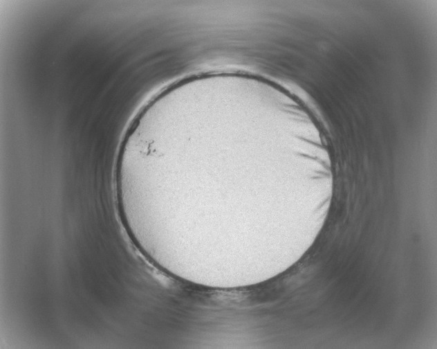 X0000065981191200603311856