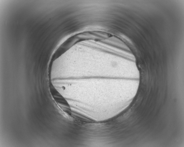 X0000065981192200603311856