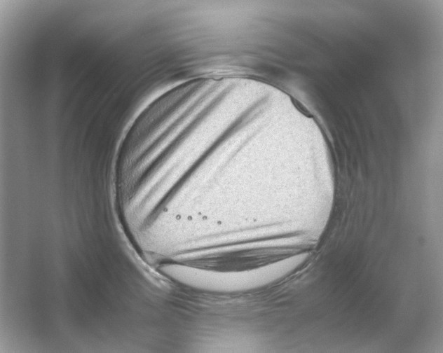 X0000065981195200603311856