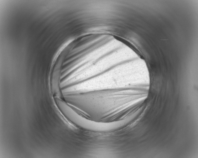 X0000065981196200603311856