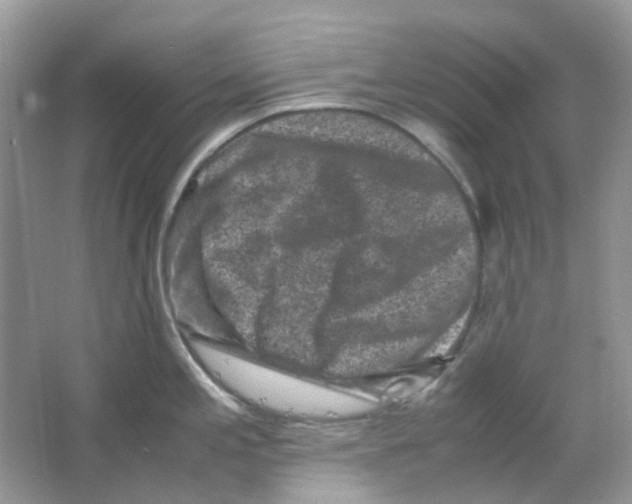 X0000065981197200603311856