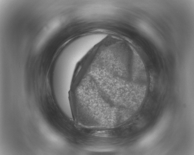 X0000065981198200603311856