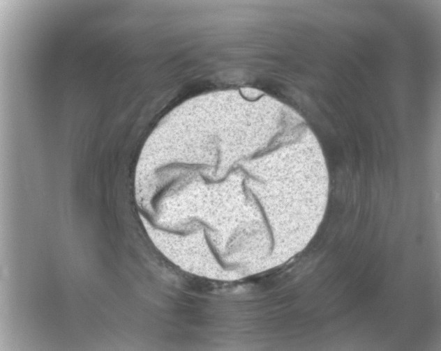 X0000065981201200603311856