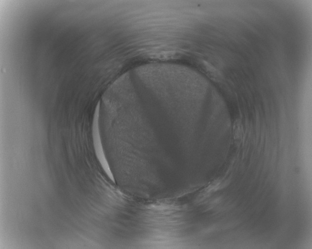 X0000065981202200603311856