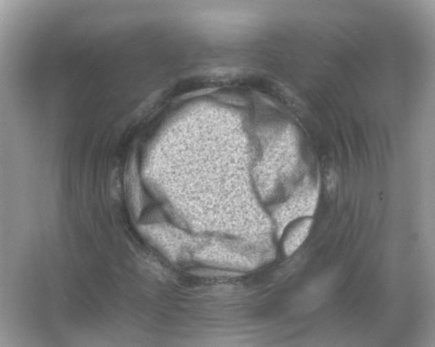 X0000065981204200603311856