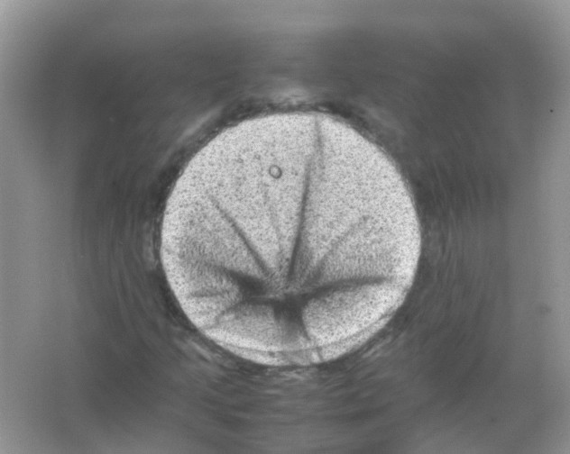 X0000065981205200603311856