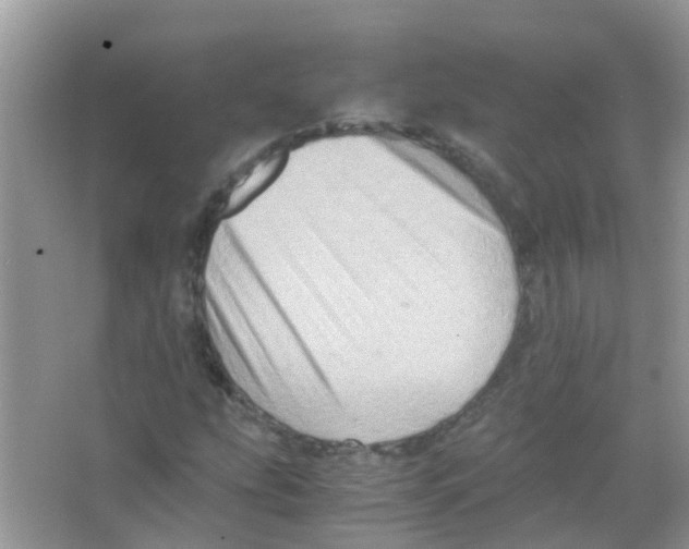 X0000065981207200603311856