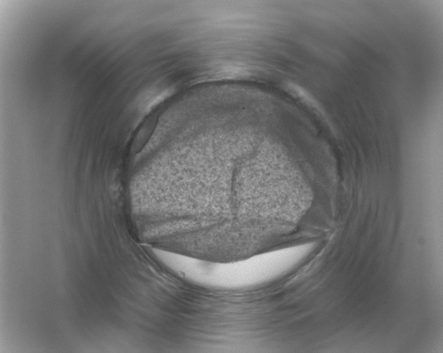 X0000065981210200603311856