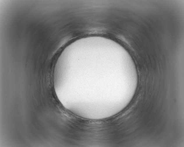 X0000065981211200603311856