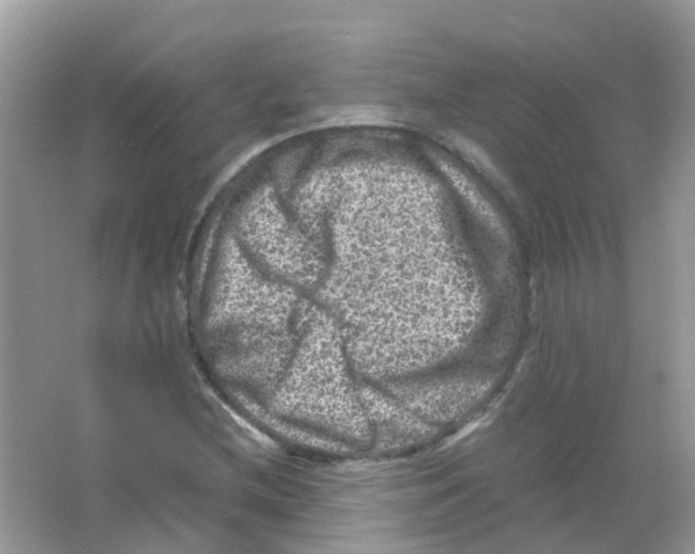 X0000065981212200603311856