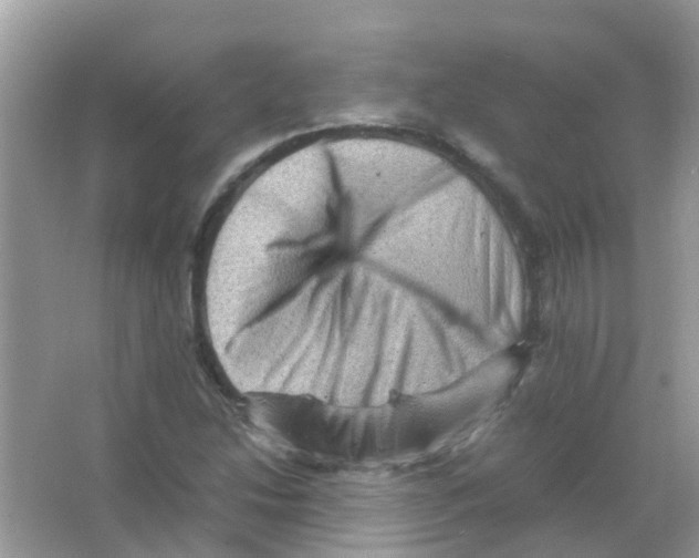 X0000065981214200603311856