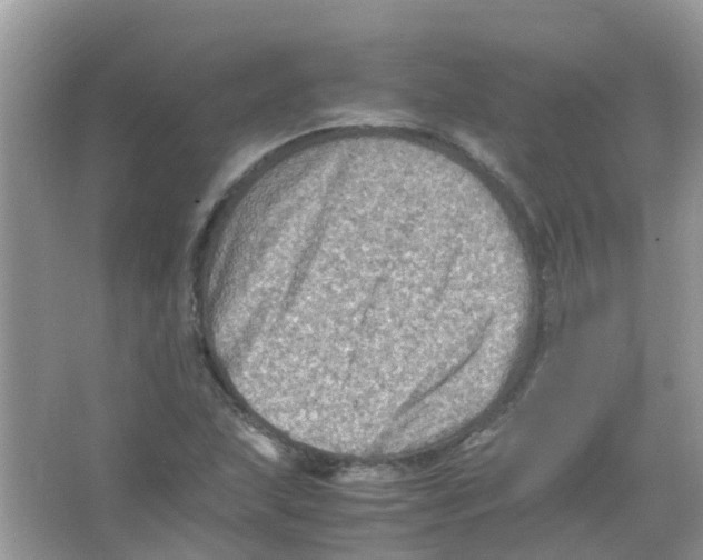 X0000065981215200603311856