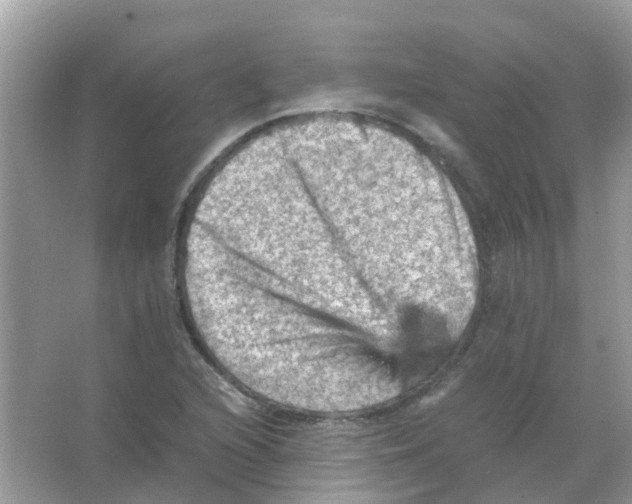 X0000065981216200603311856