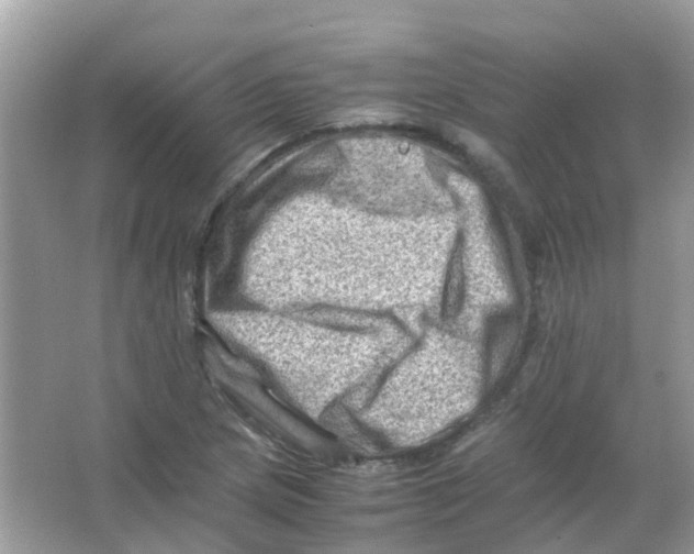 X0000065981217200603311856