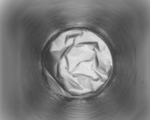 X0000065981218200603311856