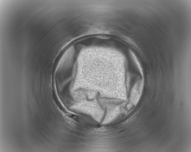 X0000065981220200603311856