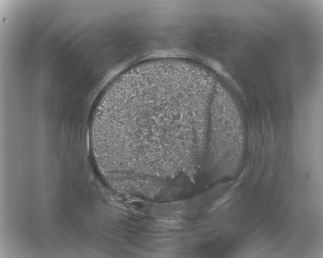 X0000065981221200603311856