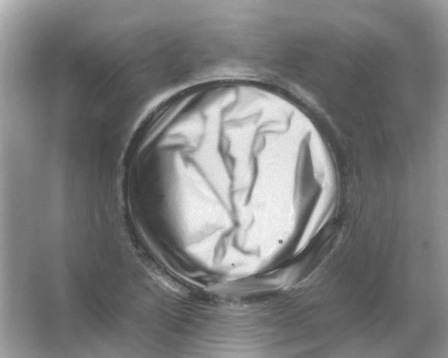 X0000065981222200603311856