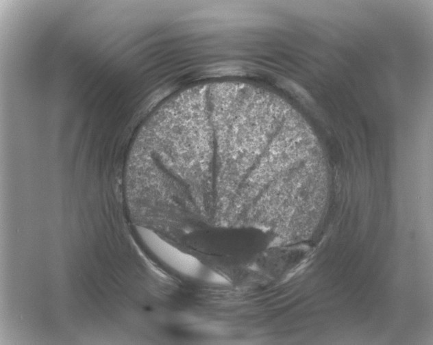 X0000065981225200603311856