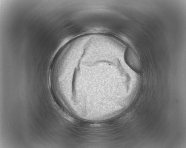 X0000065981227200603311856