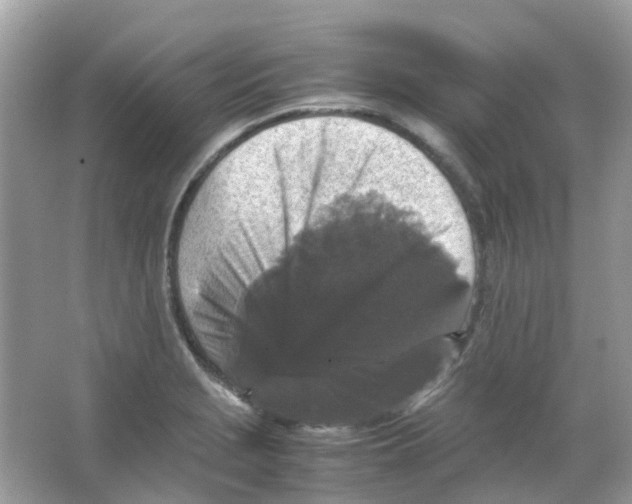 X0000065981229200603311856