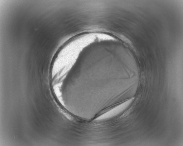 X0000065981231200603311856