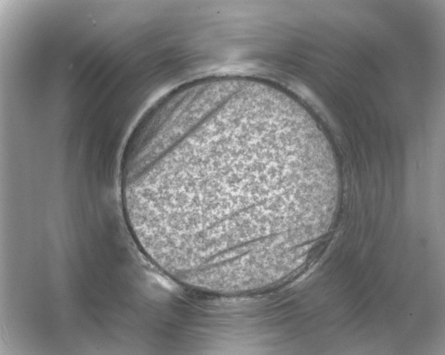 X0000065981232200603311856