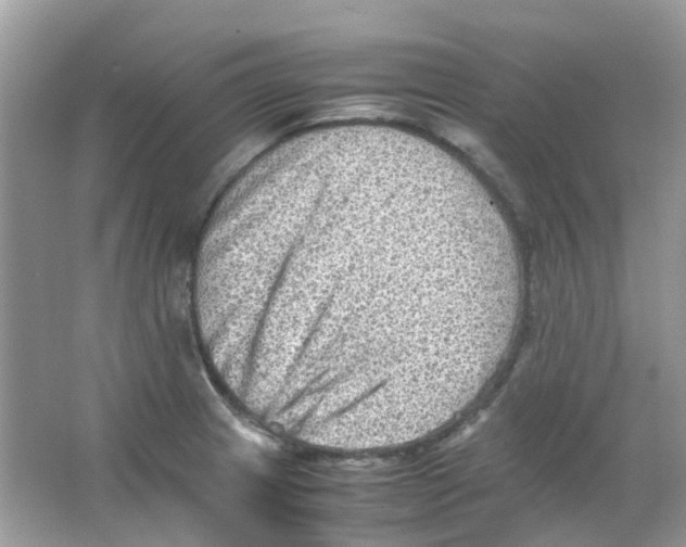 X0000065981233200603311856