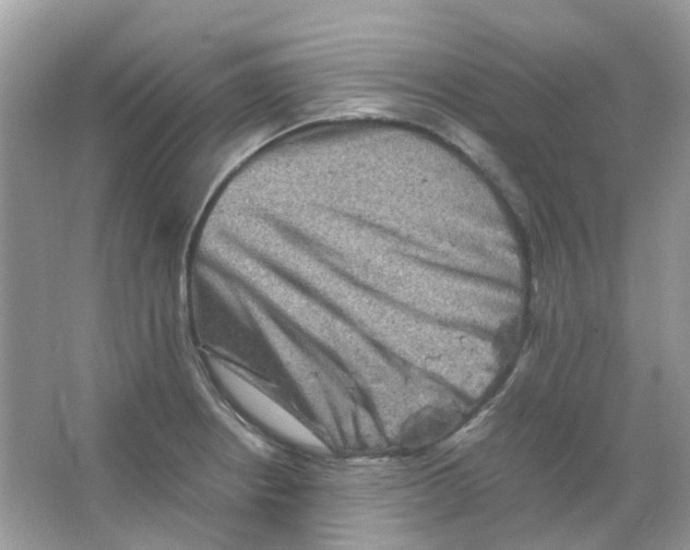 X0000065981234200603311856