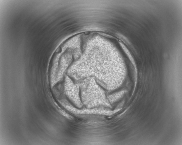 X0000065981236200603311856