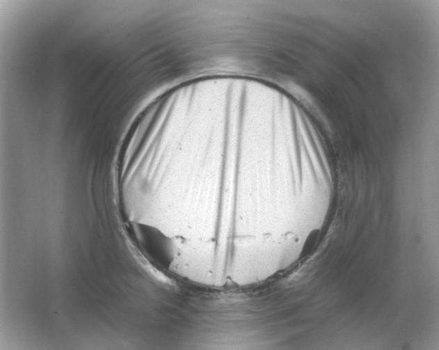 X0000065981238200603311856