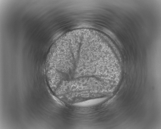 X0000065981241200603311856