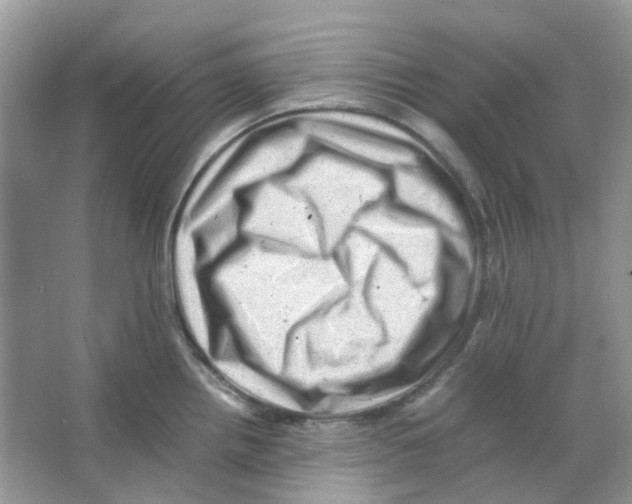 X0000065981242200603311856