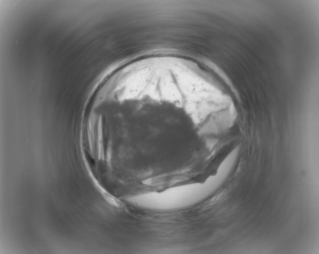 X0000065981245200603311856