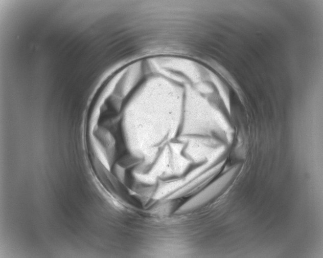 X0000065981246200603311856