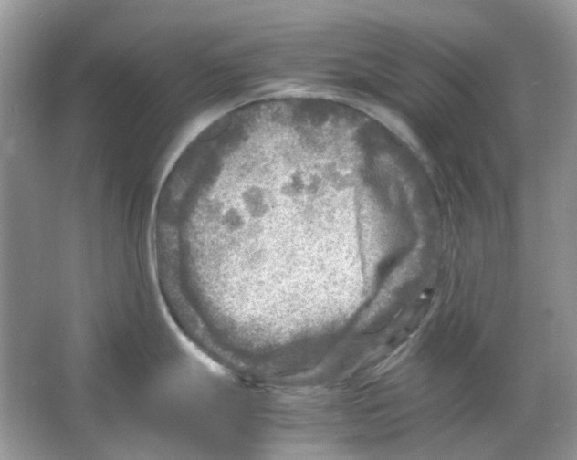 X0000065981247200603311856