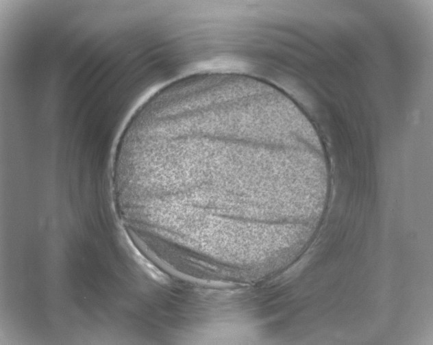 X0000065981248200603311856