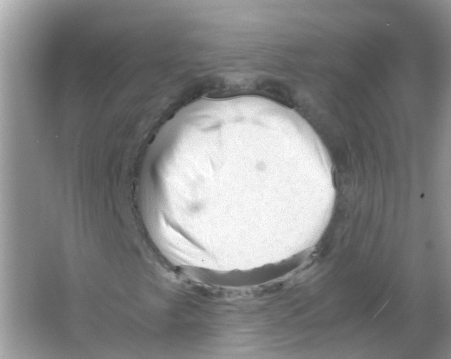 X0000065981249200603311856