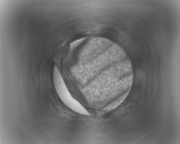 X0000065981250200603311855