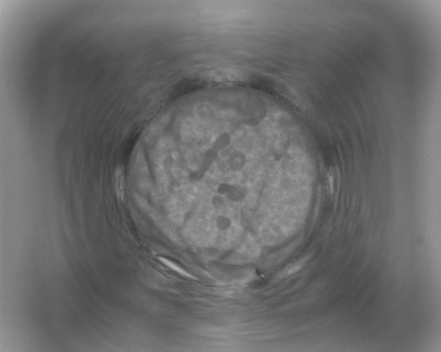 X0000065981251200603311855