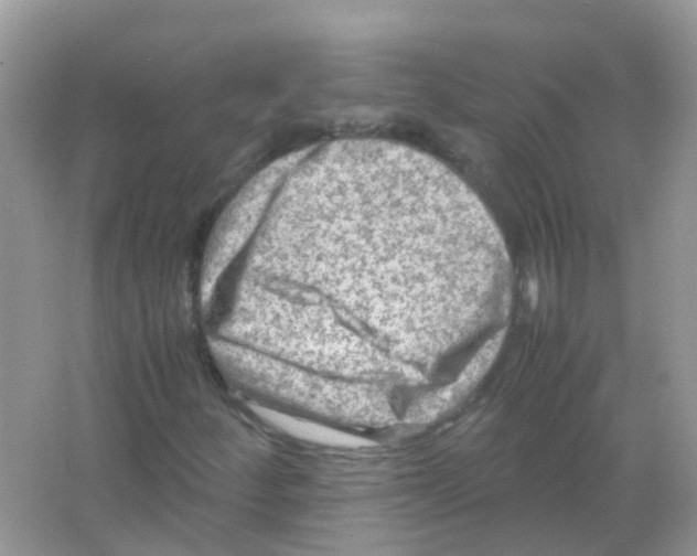 X0000065981252200603311855