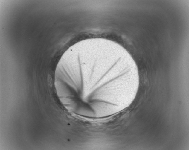 X0000065981253200603311855