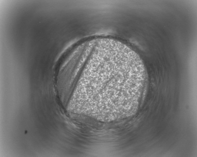 X0000065981256200603311855