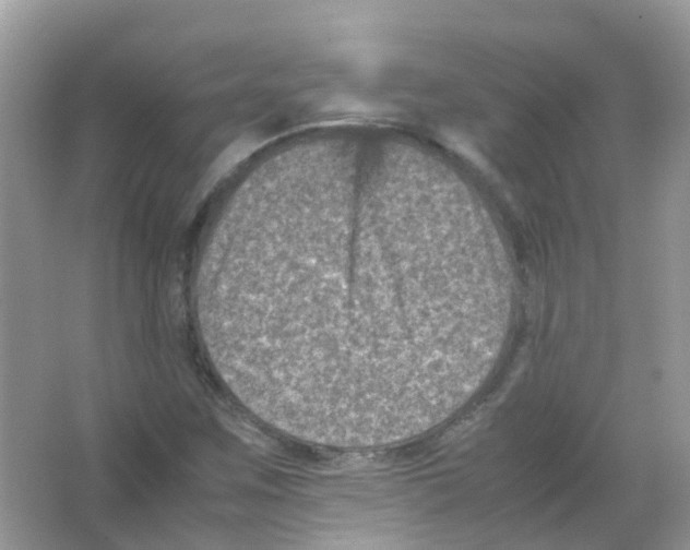 X0000065981259200603311855