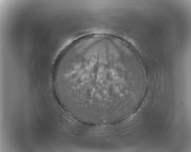 X0000065981263200603311855