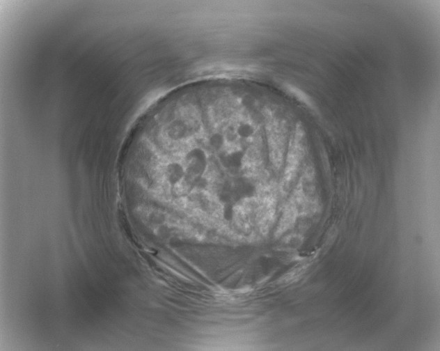 X0000065981267200603311855