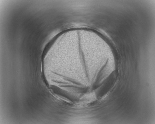 X0000065981269200603311855