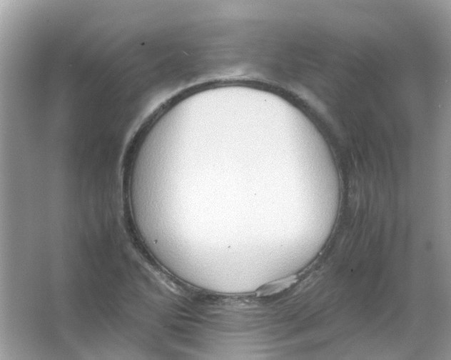 X0000065981270200603311855