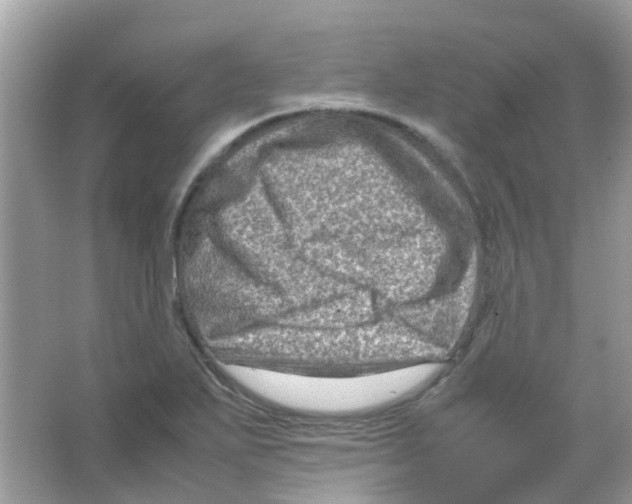 X0000065981271200603311855