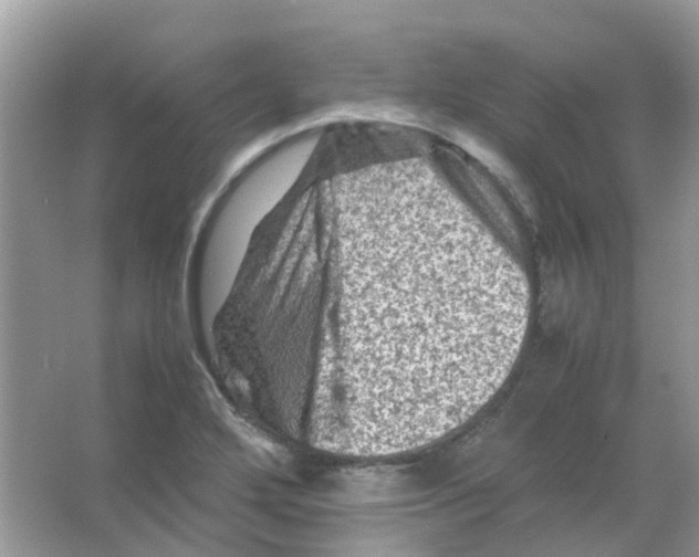 X0000065981272200603311855